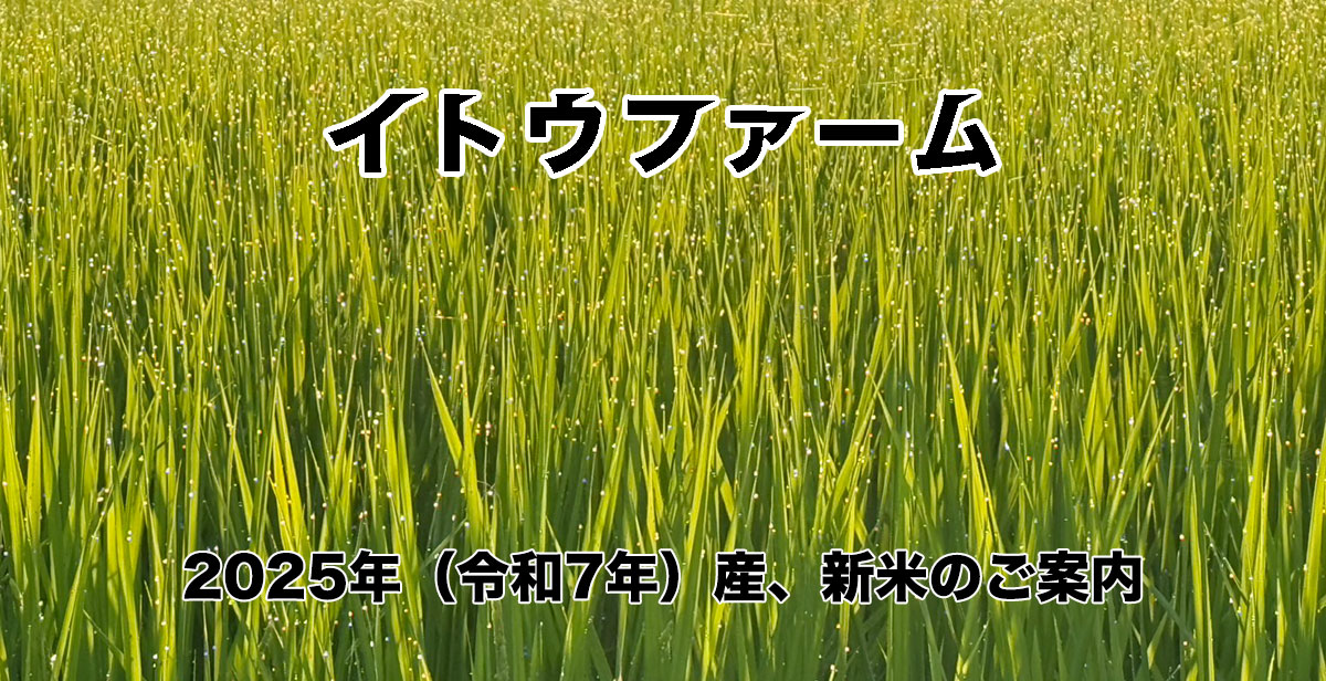 2025年産新米のご案内