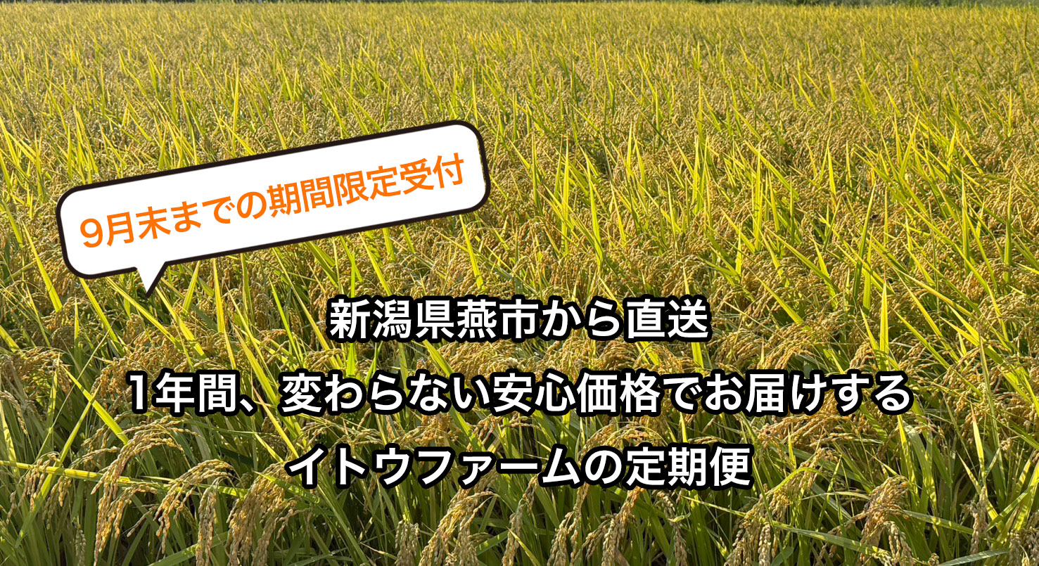 イトウファームの定期便
