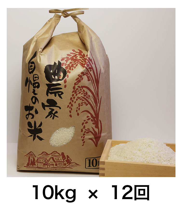 定期便10キロ12回発送