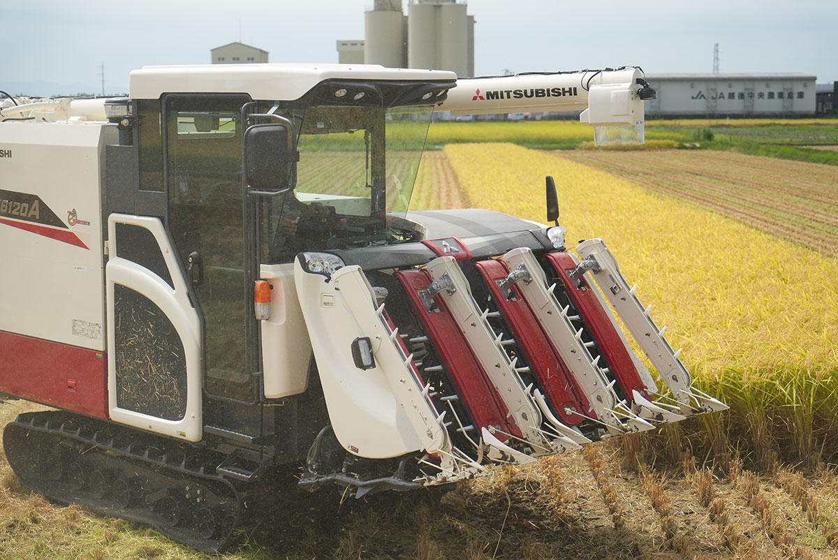 2025年の米の収穫はじまりました