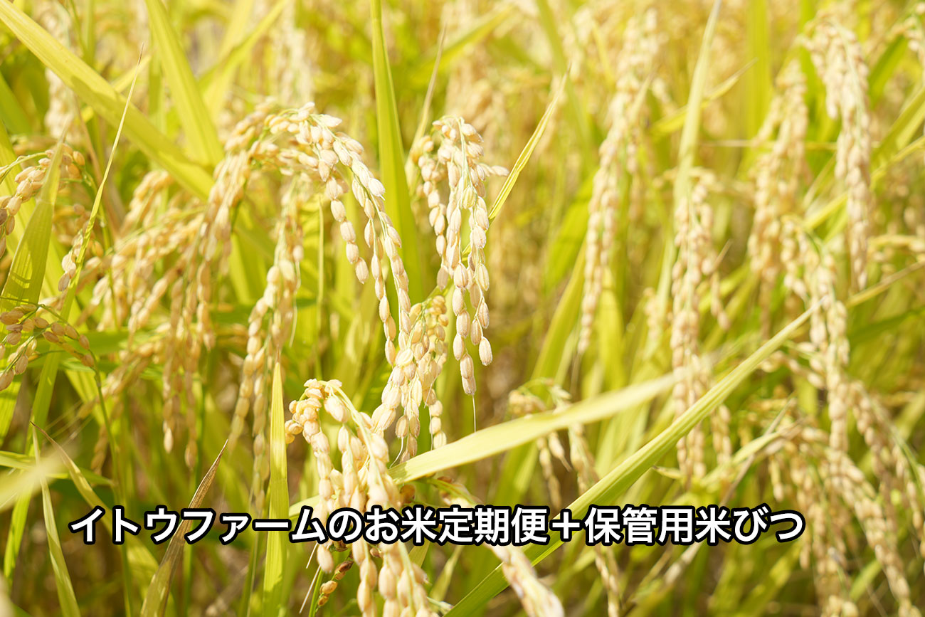 お米の定期便＋桐の米びつ