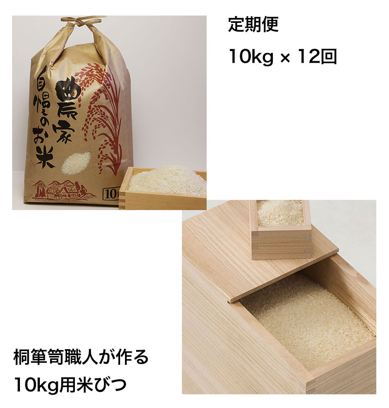定期便10キロ12回発送米びつセット