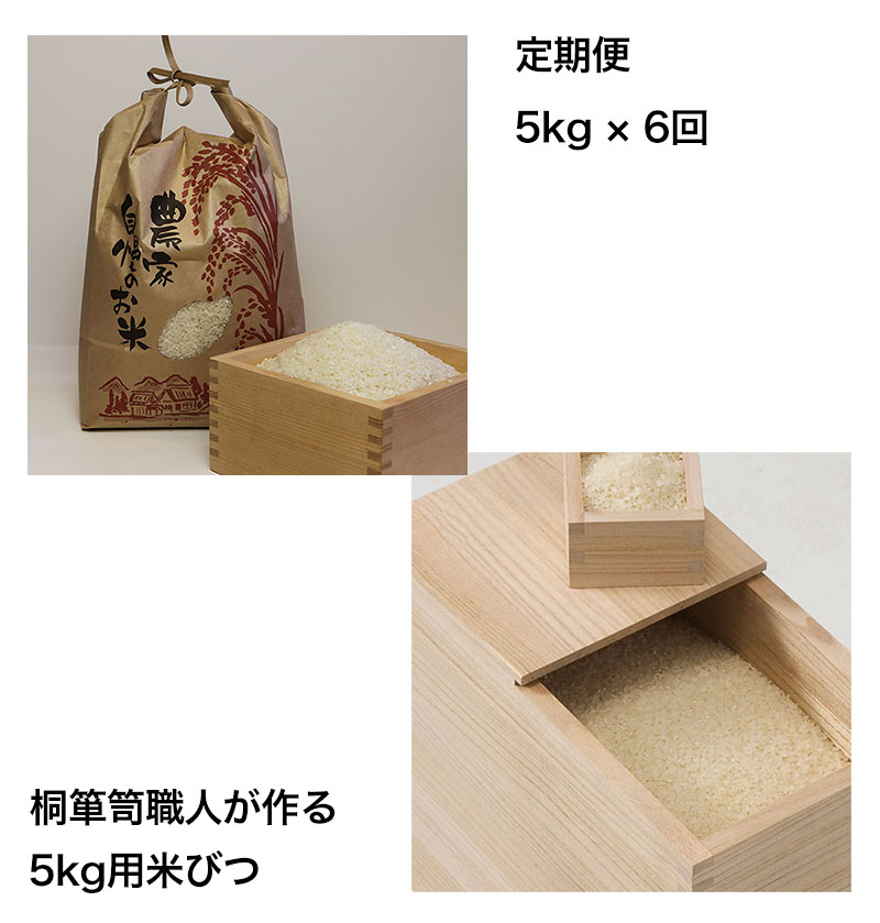 定期便5キロ隔月6回発送米びつセット
