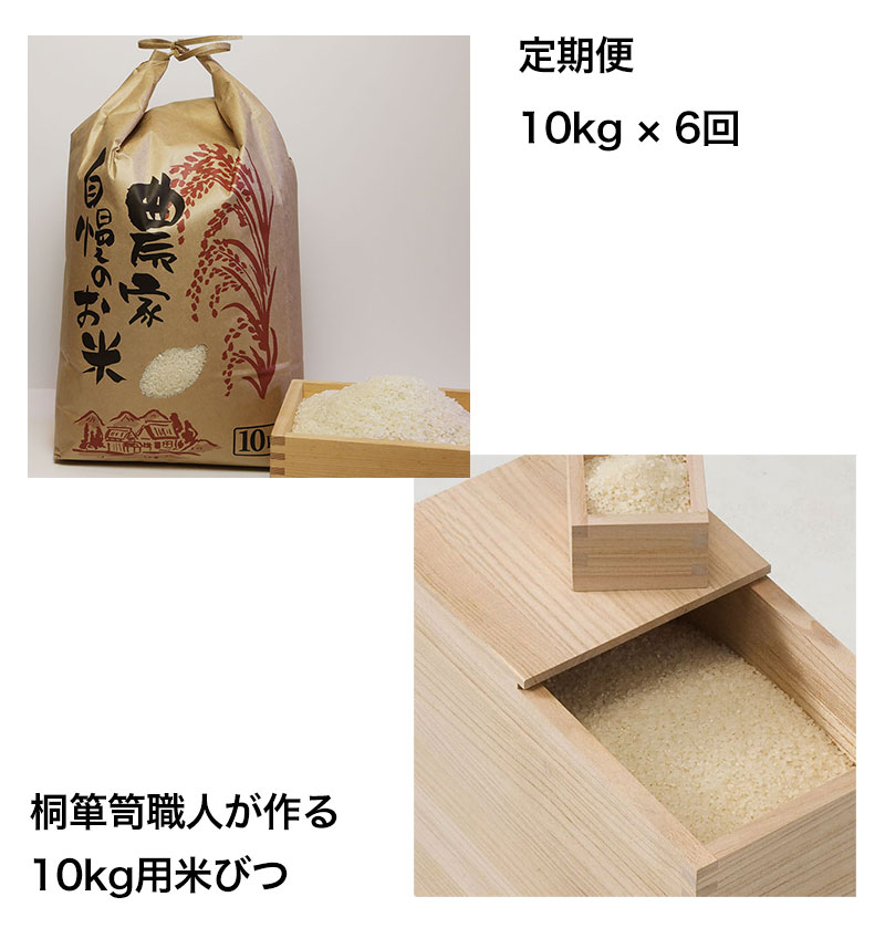 定期便10キロ6回発送米びつセット