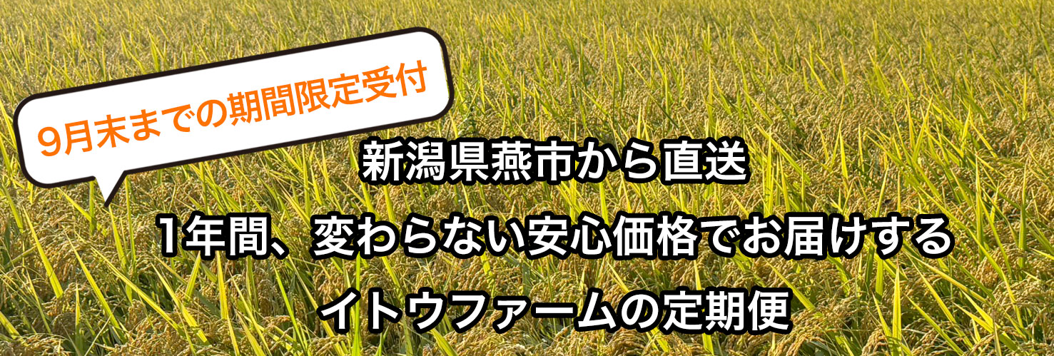 イトウファームお米の定期便